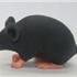 MM001 Mimicky Mouse
